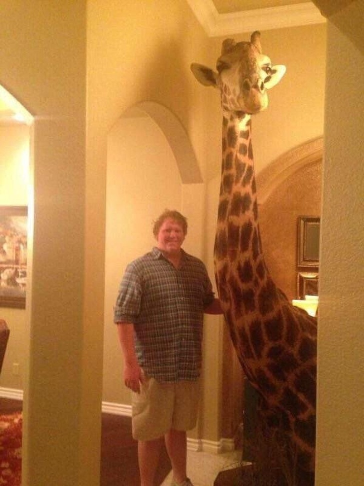 Illustration de l'article : Ces 19 moments assez fous dans le monde