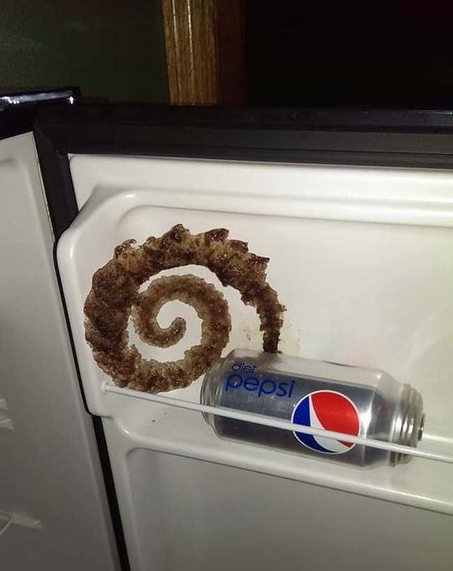 Illustration de l'article : Ces 27 curiosités immortalisées par un appareil photo