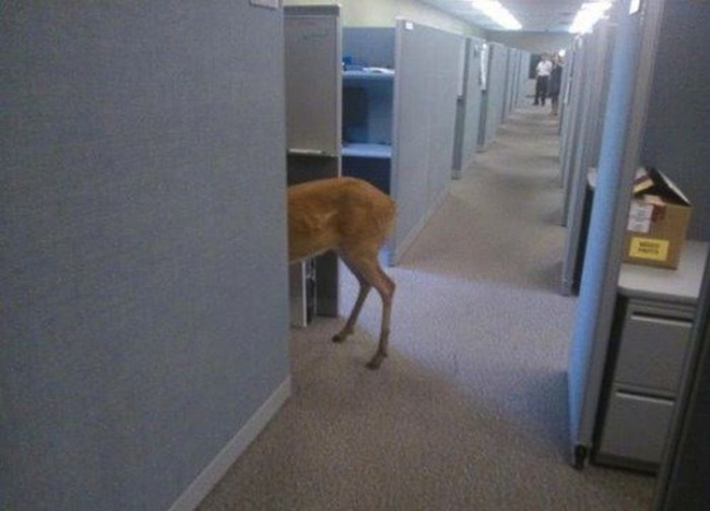 Illustration de l'article : 28 personnes ayant vécu le pire jour de leur vie au travail