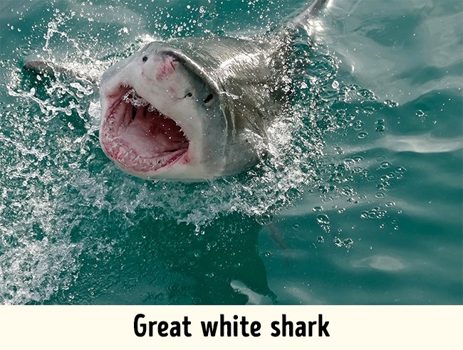 Illustration de l'article : 12 pièges à éviter si vous passez vos vacances dans certaines destinations exotiques