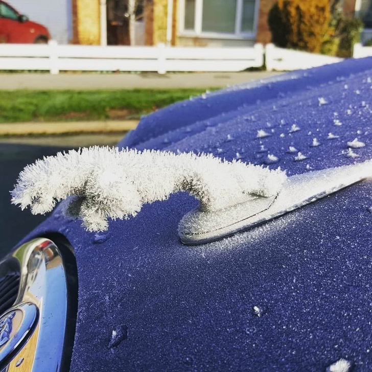 Illustration de l'article : Ces 21 images qui concurrencent Photoshop