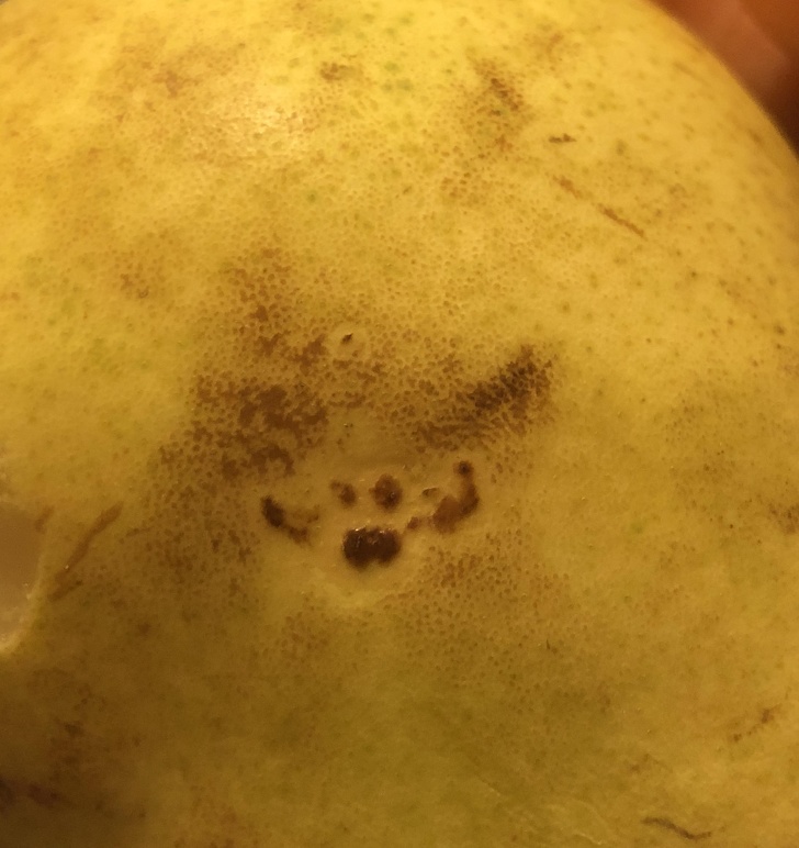 Illustration de l'article : Ces 17 photos où l'imagination fait voir autre chose