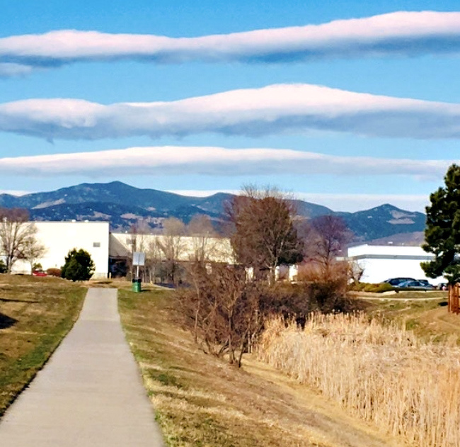 Illustration de l'article : Ces 23 situations insolites découvertes par hasard