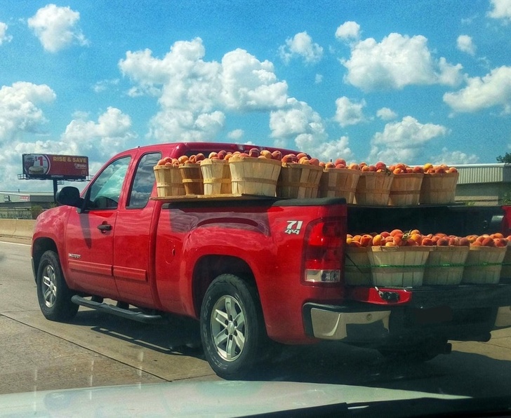 Illustration de l'article : Ces 20 personnes auxquelles il faudrait suspendre le permis