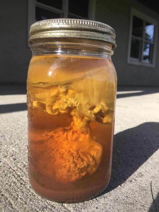 Illustration de l'article : 19 choses les plus étranges rencontrées sur la planète