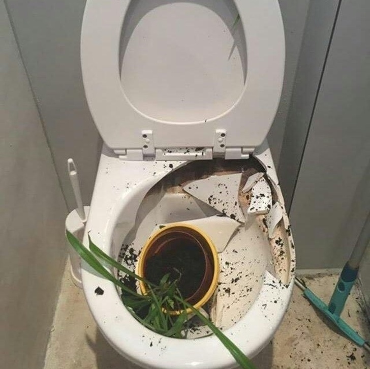 Illustration de l'article : Ces 23 photos qui traduisent la vie de leurs auteurs