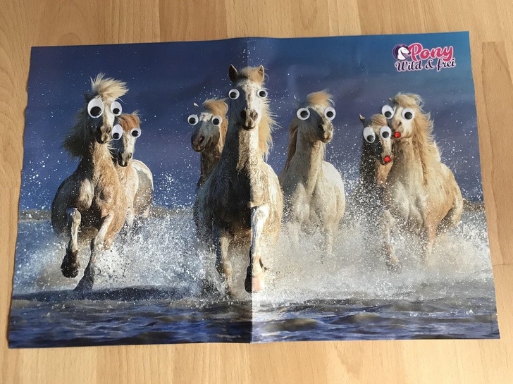 Illustration de l'article : Ces 20 photos qui montrent que certaines familles ont un grain de folie