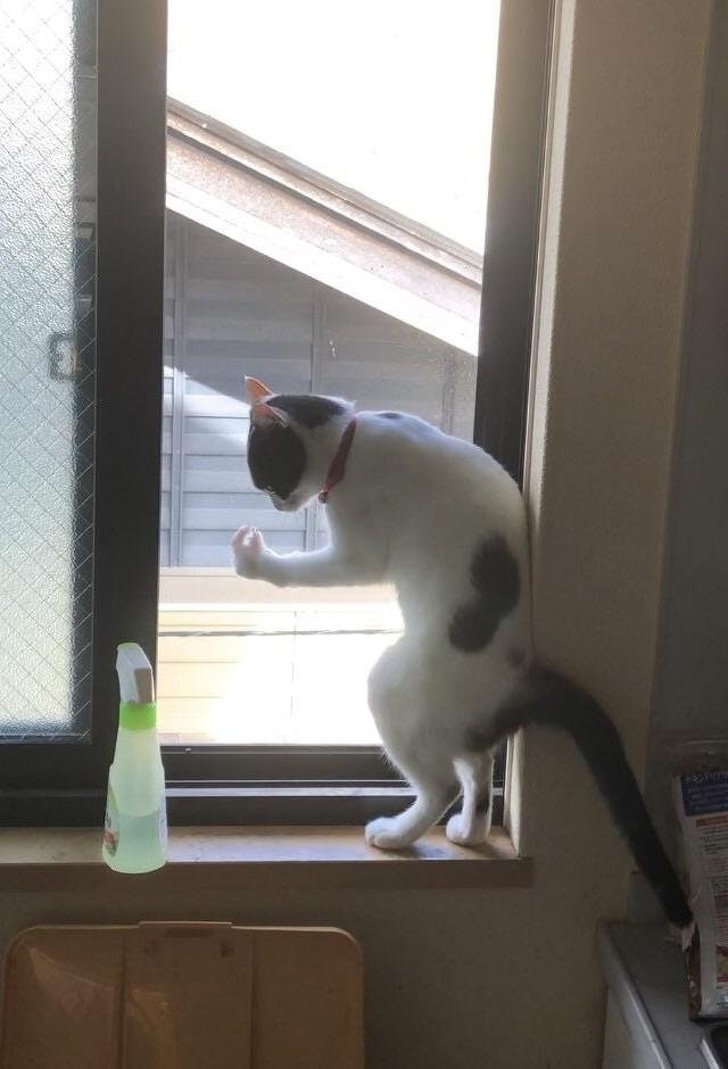 Illustration de l'article : Ces 18 façons de se rafraîchir quand il fait chaud