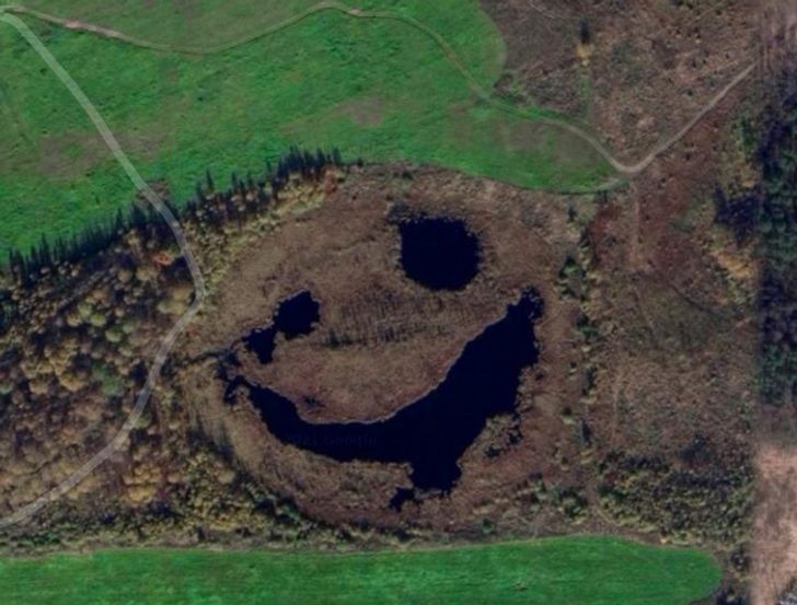 Illustration de l'article : Ces 20 photos illustrant les bonus que donne la nature &agrave; ses &eacute;l&eacute;ments