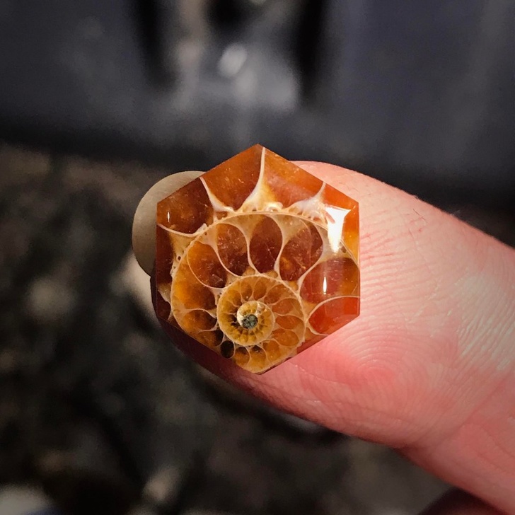 Illustration de l'article : Ces 23 photos qui tutoient la perfection tant recherchée