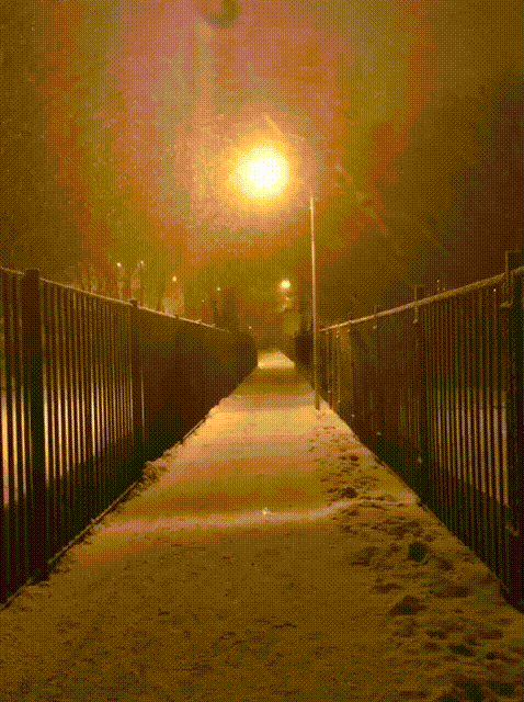 Illustration de l'article : 29 photos qui vous montrent ce qu'est un véritable hiver