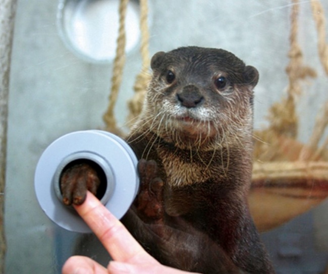 Illustration de l'article : 28 gadgets &eacute;tonnants que l&rsquo;on trouve au Japon