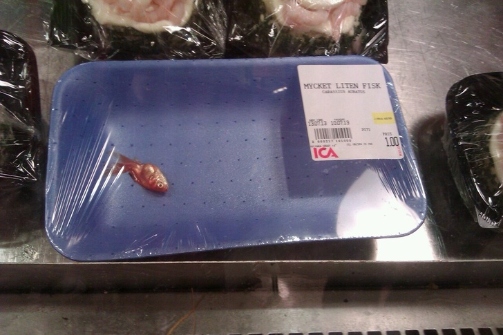 Illustration de l'article : Ces 12 personnes qui vivent dans leur monde un peu spécial