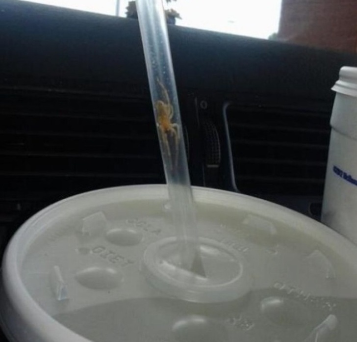 Illustration de l'article : Ces 19 photos effrayantes sauf pour les amateurs de sensations fortes