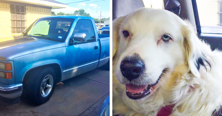 Illustration de l'article : Ces 18 photos qui peuvent être réconfortantes