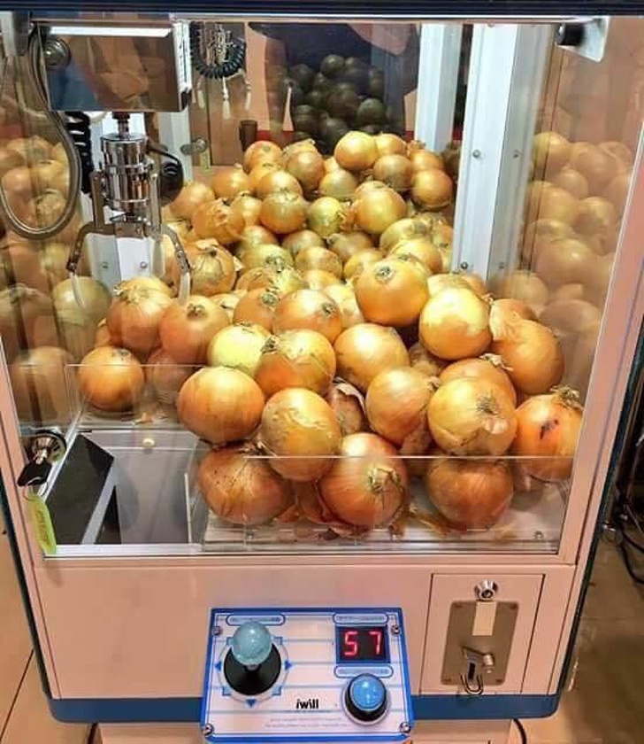 Illustration de l'article : Ces 19 photos qui ont un côté plutôt absurde