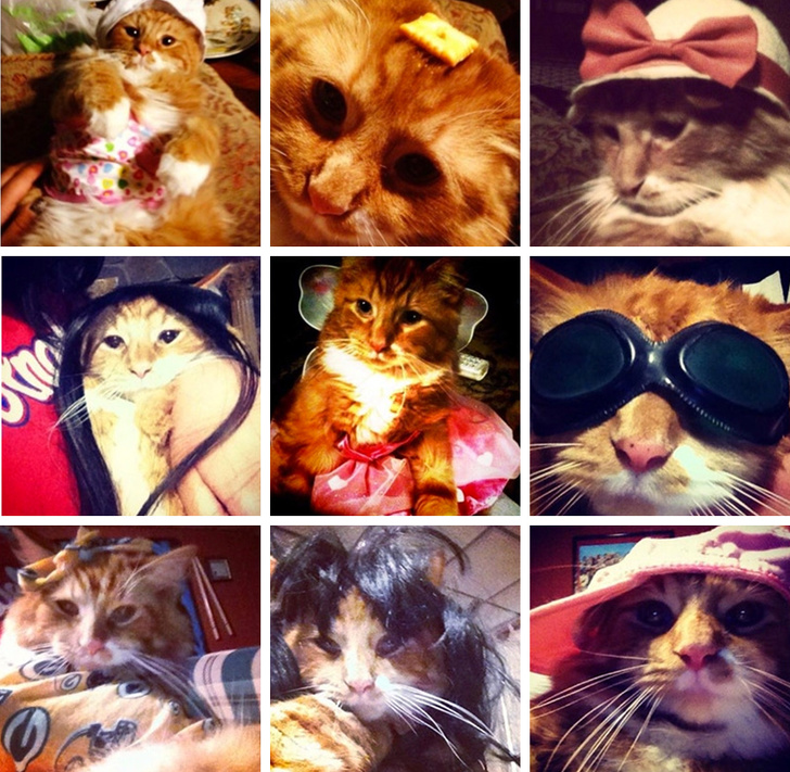 Illustration de l'article : Ces 20 photos qui montrent que certaines familles ont un grain de folie