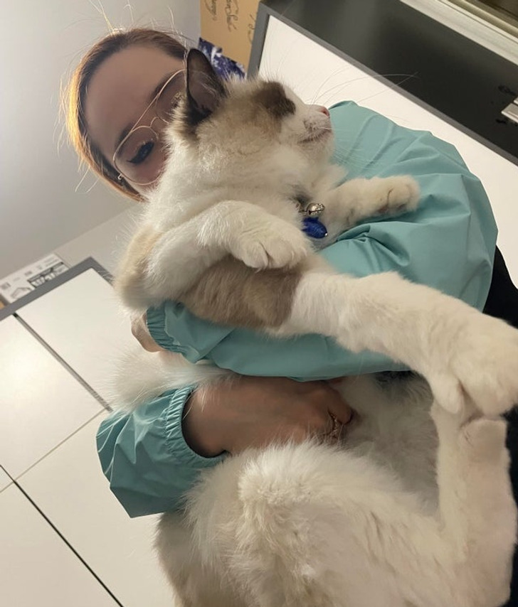 Illustration de l'article : Ces 20 photos qui demandent &agrave; y regarder par deux fois