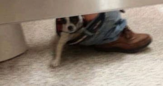 Illustration de l'article : 25 internautes partagent avec vous leurs instants de vie les plus marquants