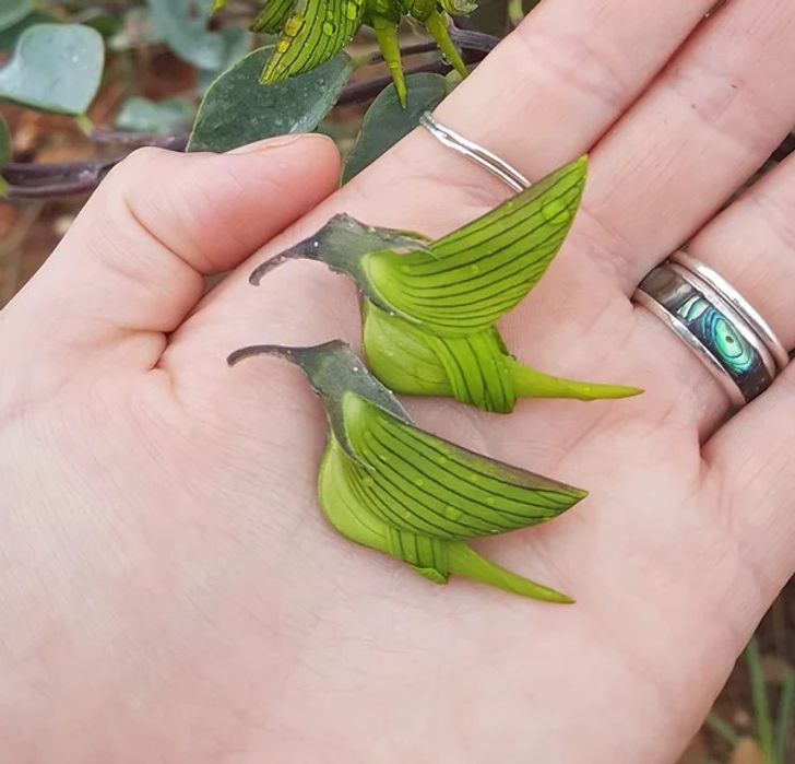 Illustration de l'article : Ces 19 photos qui illustrent les bugs de la nature