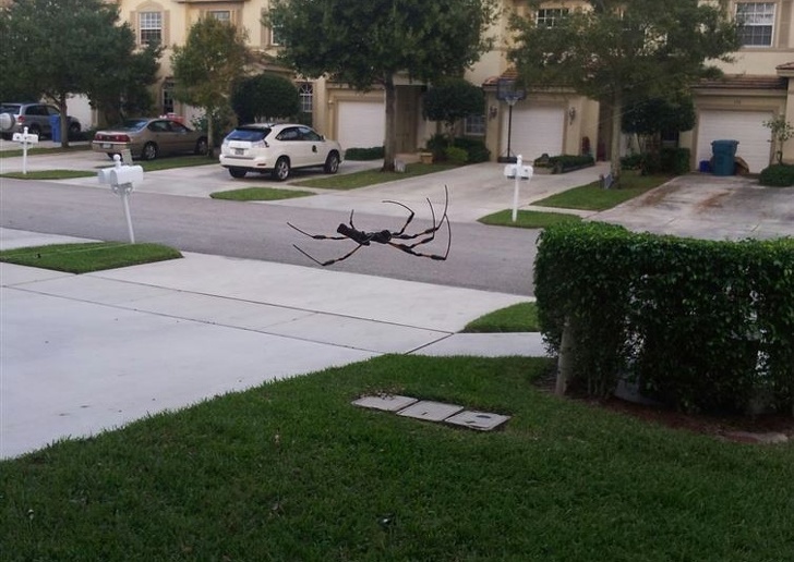 Illustration de l'article : Ces 23 curiosités qui montrent qu'il faut être attentif autour de soi