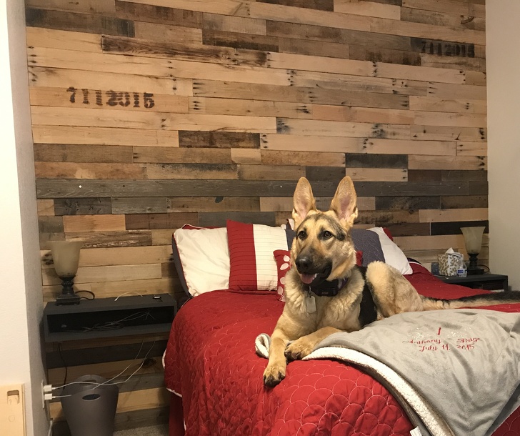 Illustration de l'article : Ces 24 façons de réutiliser de vieilles palettes en bois