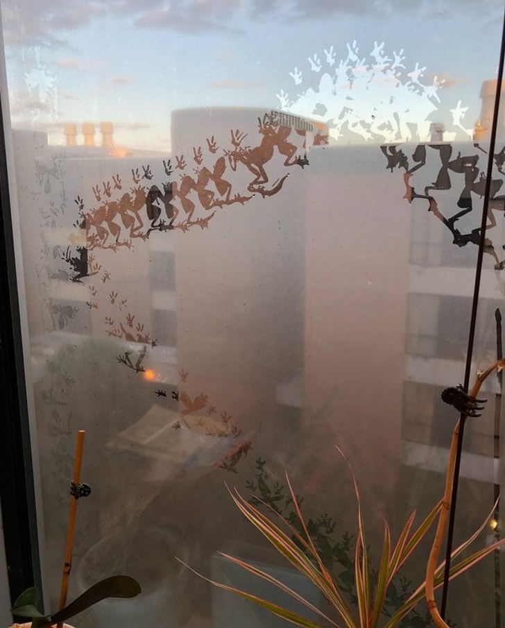 Illustration de l'article : Ces 18 photos prises à l'instant qu'il fallait