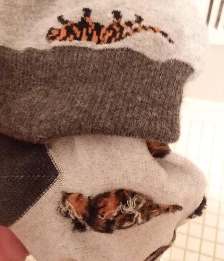 Illustration de l'article : Ces 20 photos qui mettent en avant certaines trouvailles