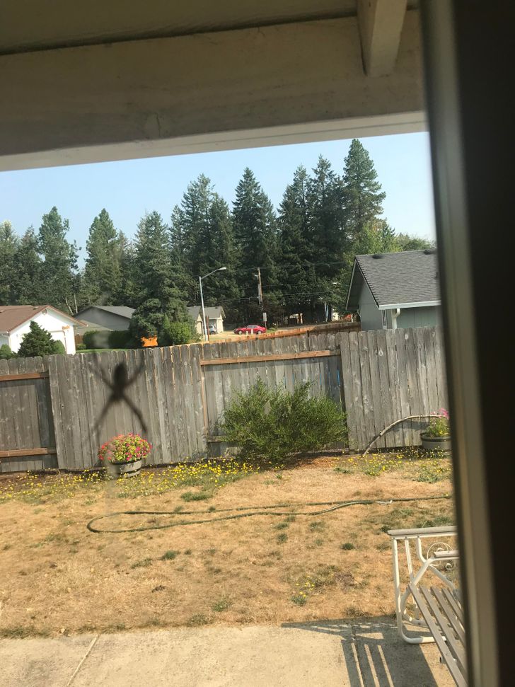 Illustration de l'article : Ces 20 photos qui montrent que tout est question d'angle de vue