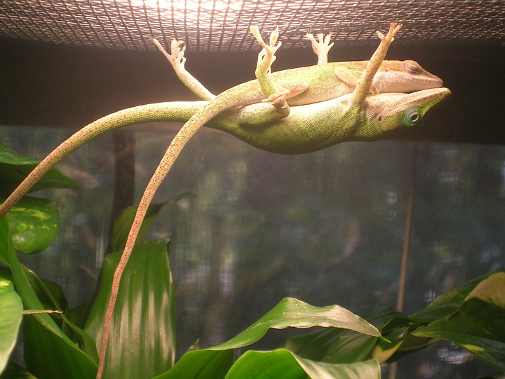 Illustration de l'article : Ces 16 photos de moments tendres de la vie