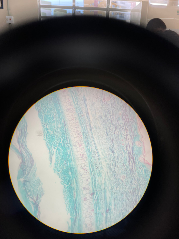 Illustration de l'article : Ces 17 photos qui montrent que Dame Nature a de l'humour