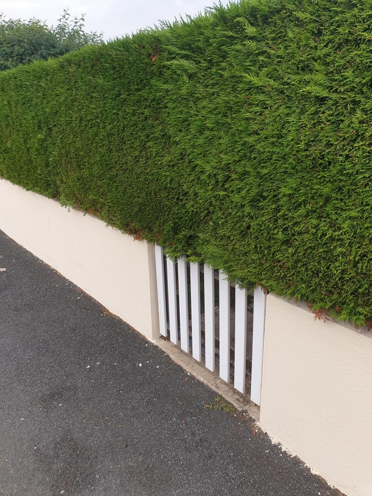 Illustration de l'article : Ces 20 bricoleurs qui n'ont pas le souci du détail