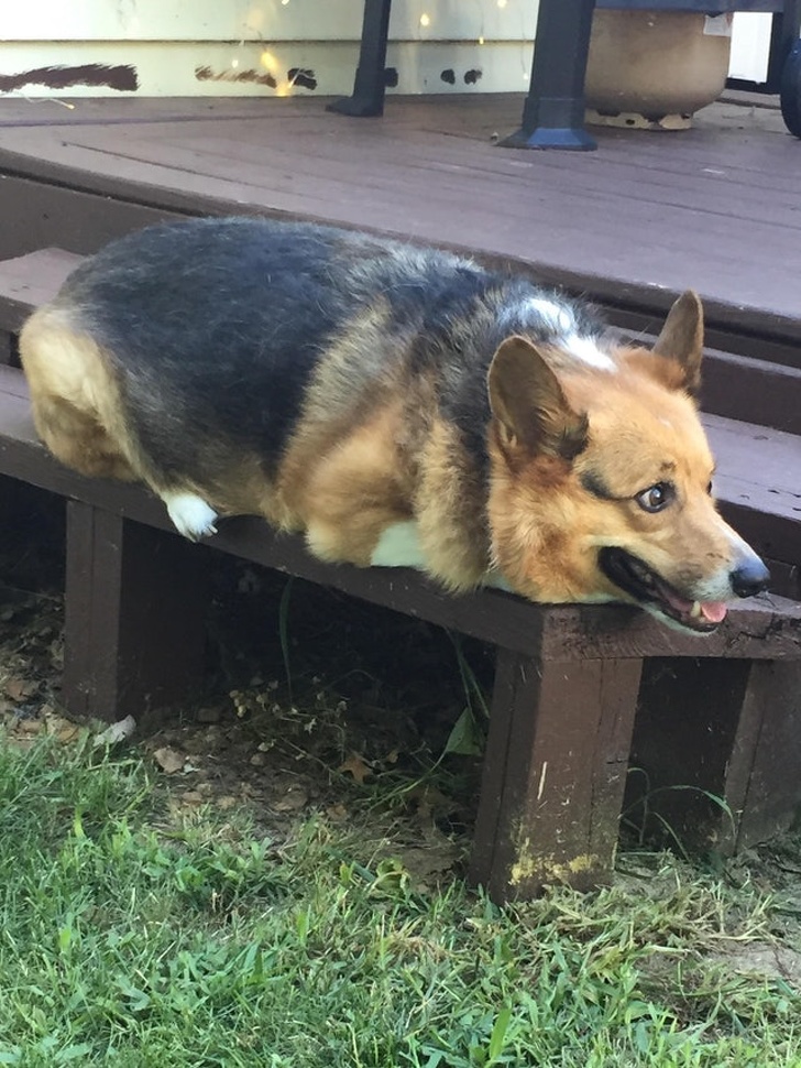 Illustration de l'article : Ces 23 photos montrent qu'on peut découvrir chaque jour de nouvelles choses