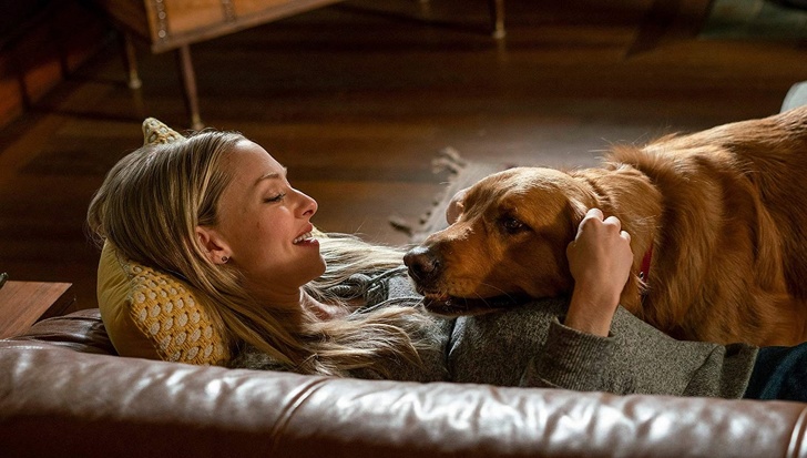 Illustration de l'article : Cette s&eacute;lection de 11 films qui ont marqu&eacute; l'ann&eacute;e 2019