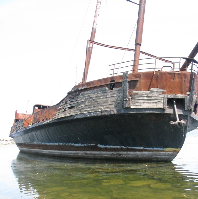 Illustration de l'article : Ces 14 découvertes inattendues sur les plages du monde