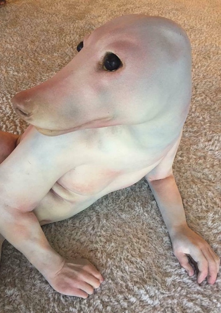 Illustration de l'article : Ces 21 photos qui montrent que l'Homme et la nature sont parfois incompris