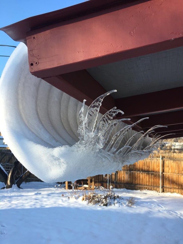 Illustration de l'article : Ces 20 photos qui montrent que la nature peut aussi plaisanter