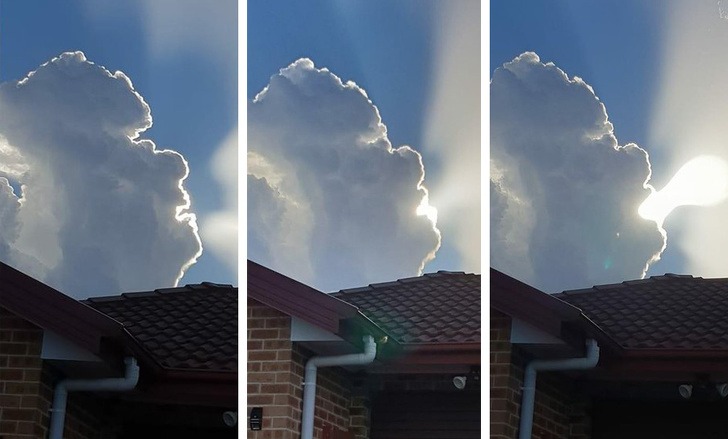 Illustration de l'article : Ces 21 photos de choses qui existent réellement