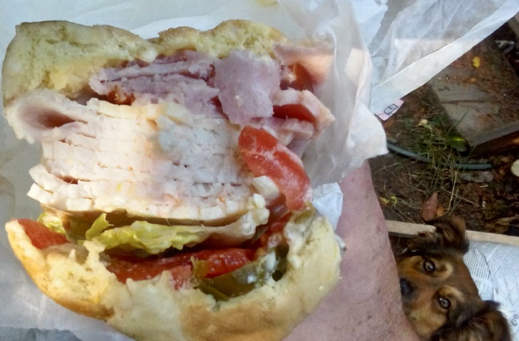 Illustration de l'article : Ces 19 arrière-plans qui font toute la différence