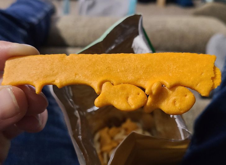 Illustration de l'article : Ces 15 petites découvertes partagées par des internautes