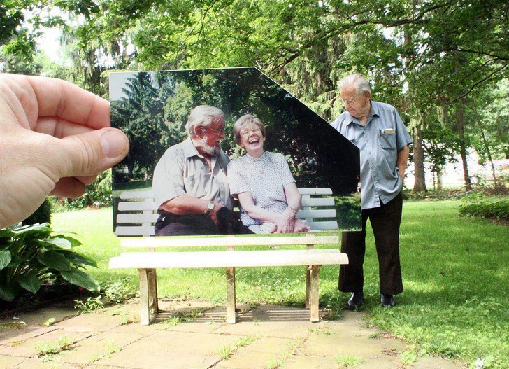 Illustration de l'article : Ces 17 photos poignantes montrent les conséquences de nos actes