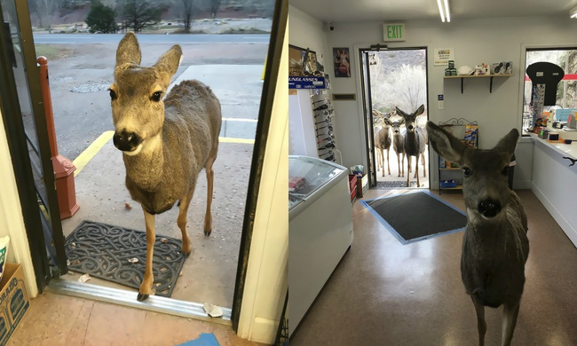 Illustration de l'article : Ces 30 choses simples qui rendent la vie plus belle