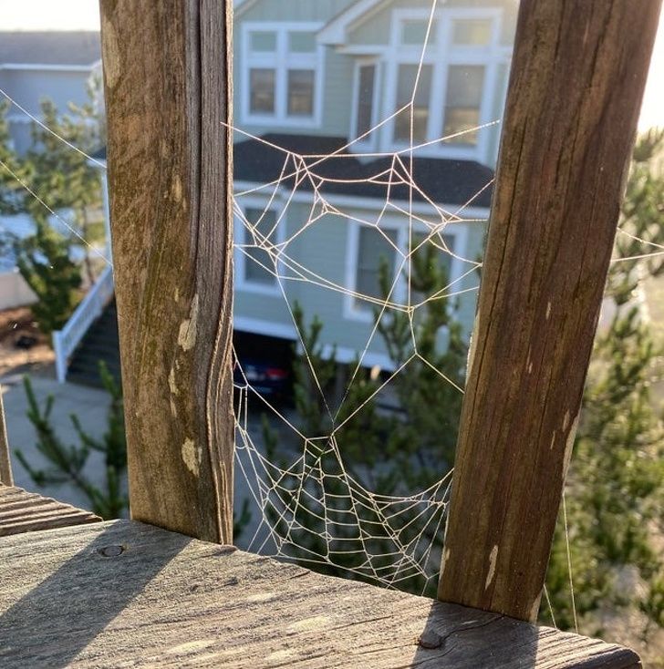 Illustration de l'article : Ces 20 photos qui mettent en avant certaines trouvailles