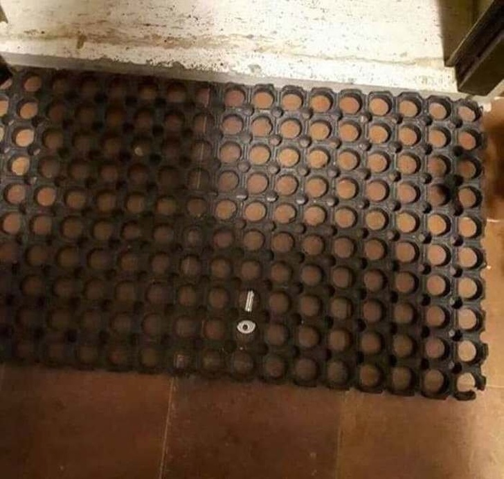 Illustration de l'article : Ces 17 personnes qui vivent leur propre vie et à leur façon