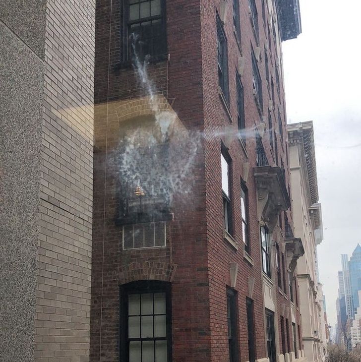 Illustration de l'article : Ces 20 photos qui mettent en avant certaines trouvailles