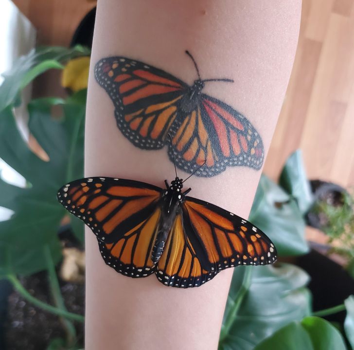 Illustration de l'article : Ces 20 photos r&eacute;v&eacute;lant les petites merveilles de la Nature