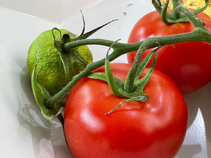 Illustration de l'article : Ces 20 photos qui montrent que tout est question d'angle de vue