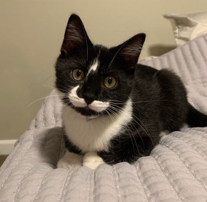 Illustration de l'article : Ces 15 fois où la nature a joué avec les couleurs