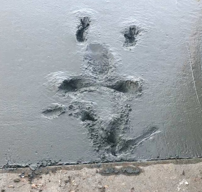 Illustration de l'article : Ces 10 personnes accompagnées par l'échec