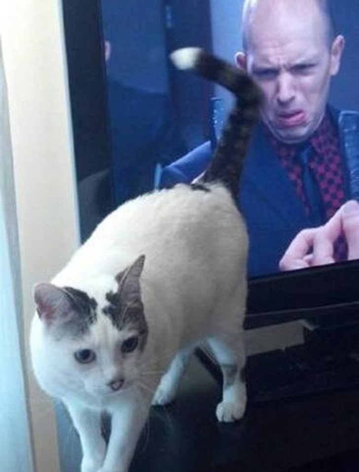 Illustration de l'article : Ces 26 photos qui montrent des situations prises au bon moment